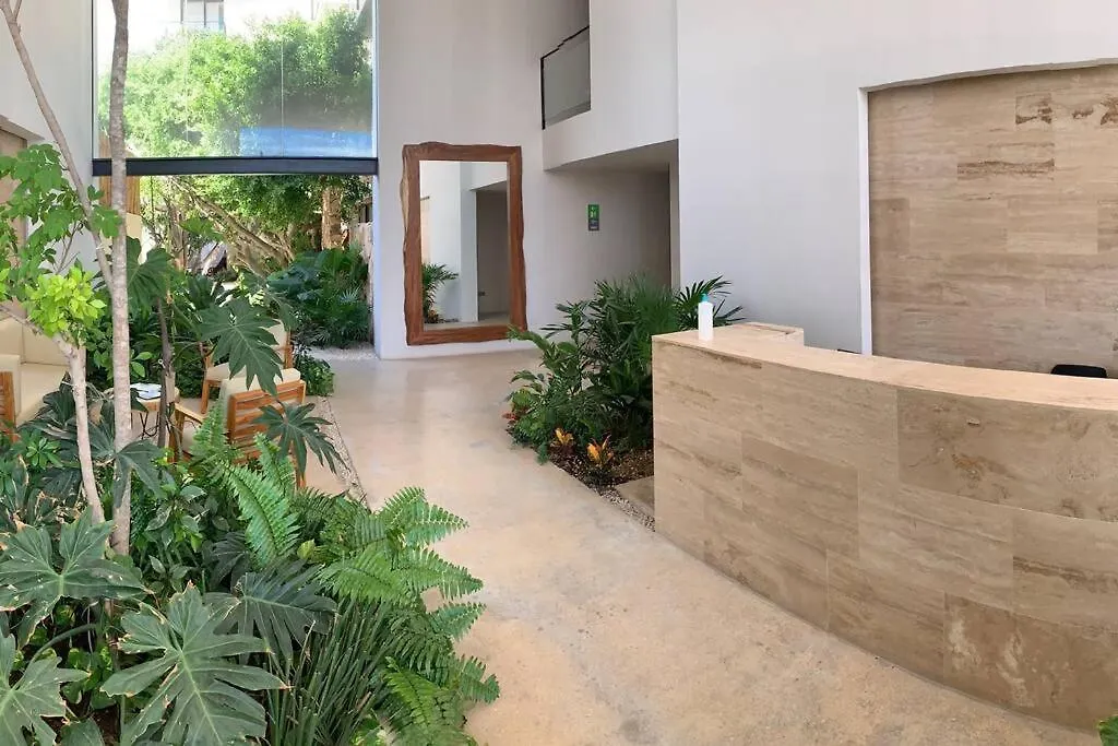 Kaab South Beach - Beautiful Big Studio - Rooftop Pool Ocean View Playa del Carmen 0*,  Mexico